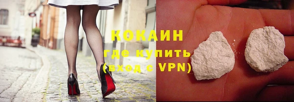 прущие грибы Арсеньев