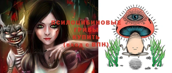 прущие грибы Арсеньев
