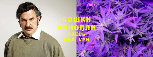 прущие грибы Арсеньев