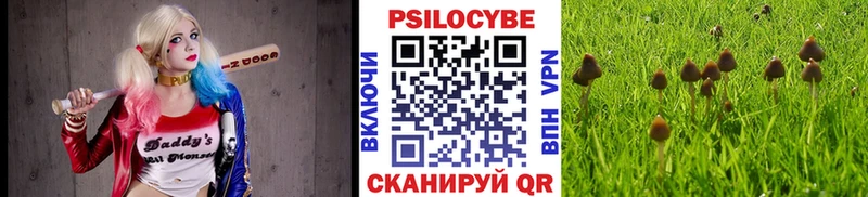 Псилоцибиновые грибы Psilocybe  Любань 